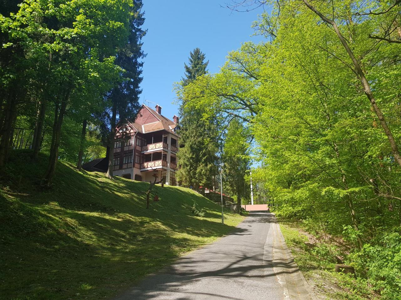 Ezuestfenyo Hotel Telkibánya Exterior photo